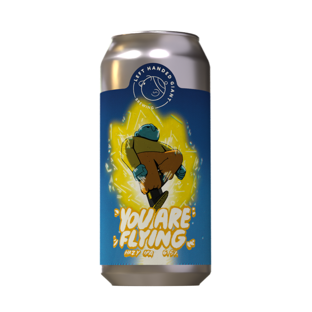 You Are Flying - 4 Pack