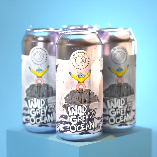 Wild Grey Ocean - 4 Pack
