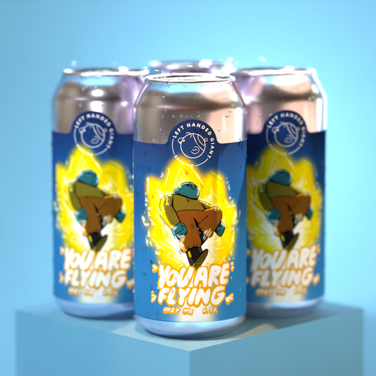 You Are Flying - 4 Pack